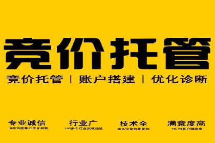谷歌竞价案例：快速提升品牌影响力的广告策略